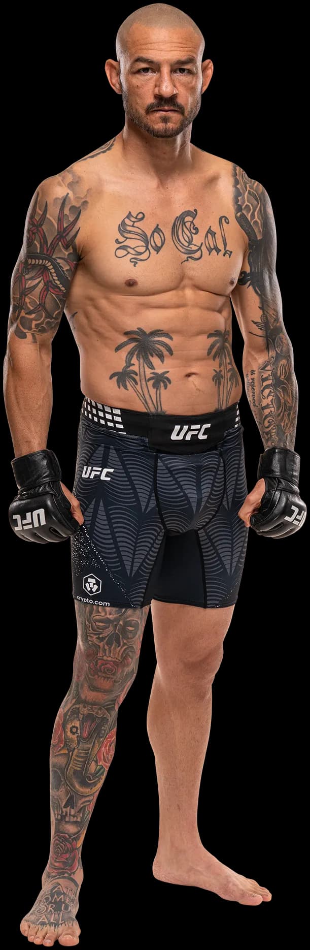 Cub Swanson