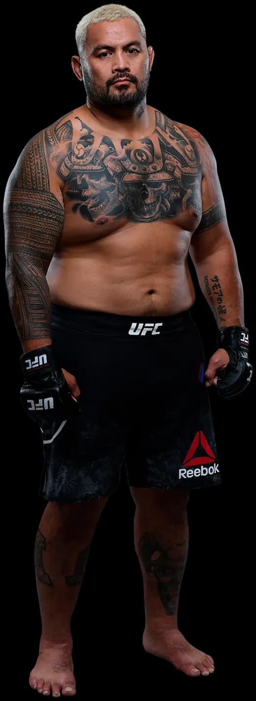 Mark Hunt