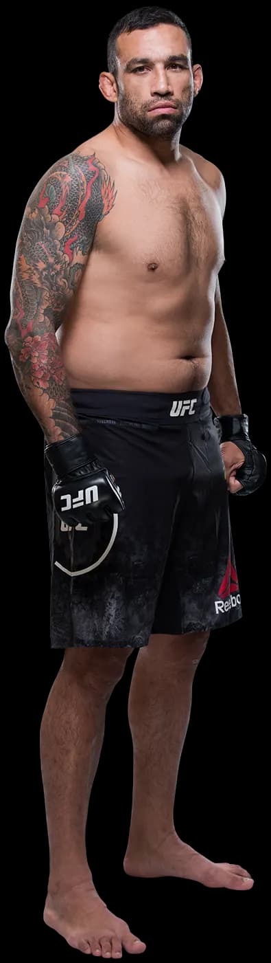 Fabricio Werdum