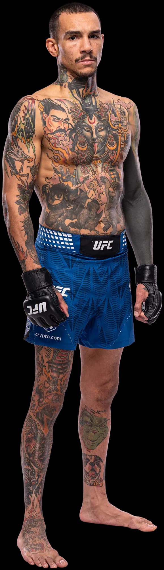 Andre Fili