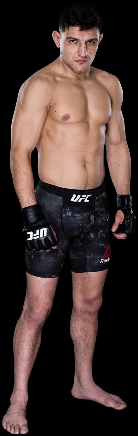 Damir Hadzovic