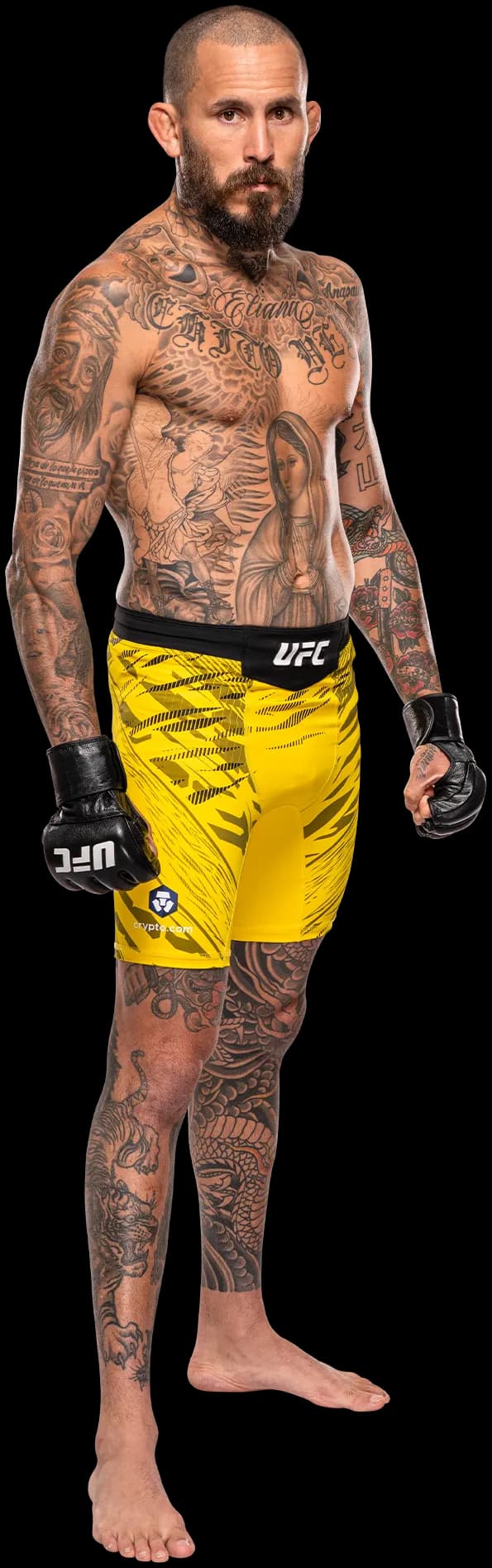 Marlon Vera