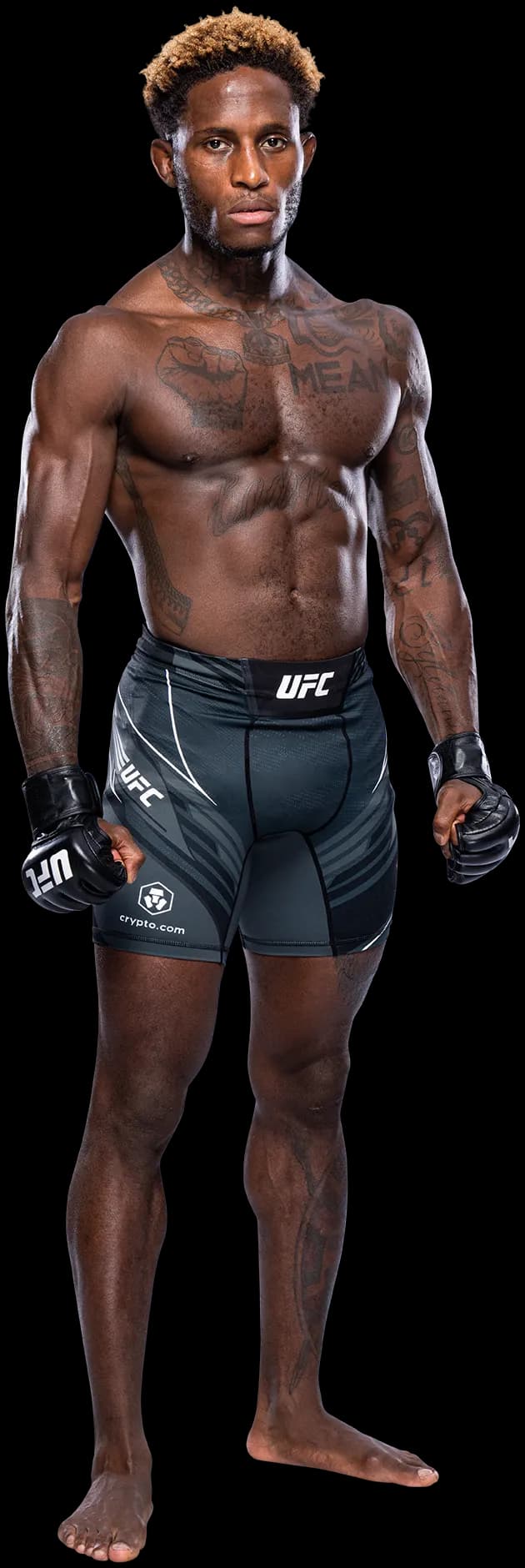 Hakeem Dawodu