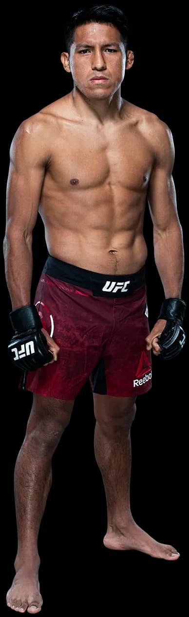 Enrique Barzola