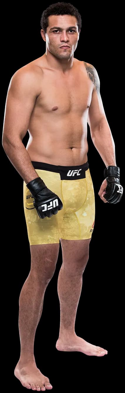Henrique da Silva