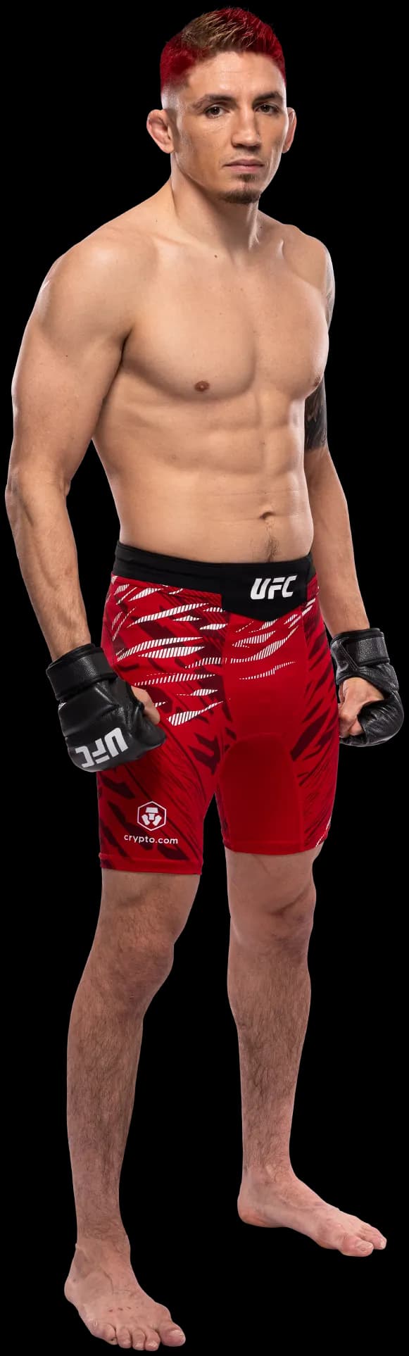 Vince Morales
