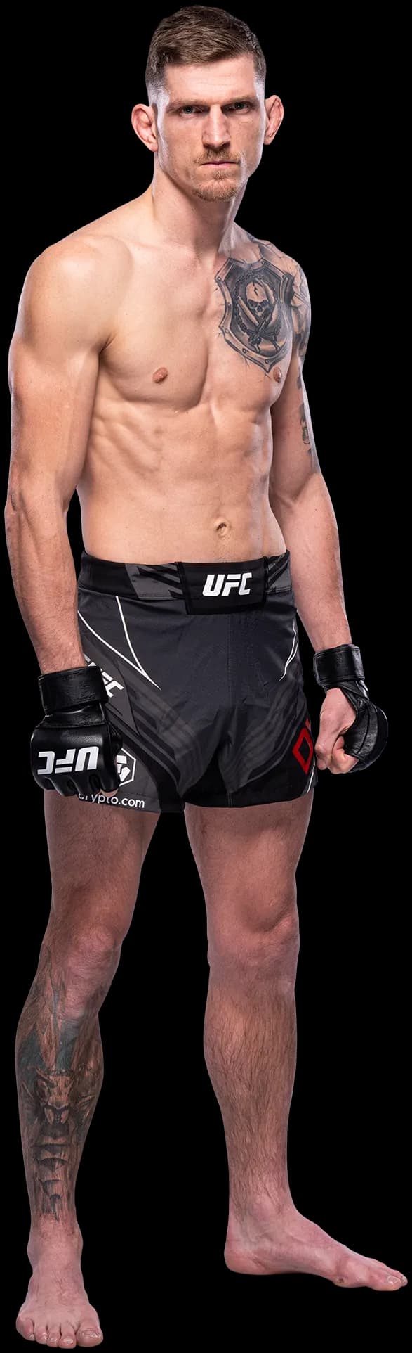 David Dvorak
