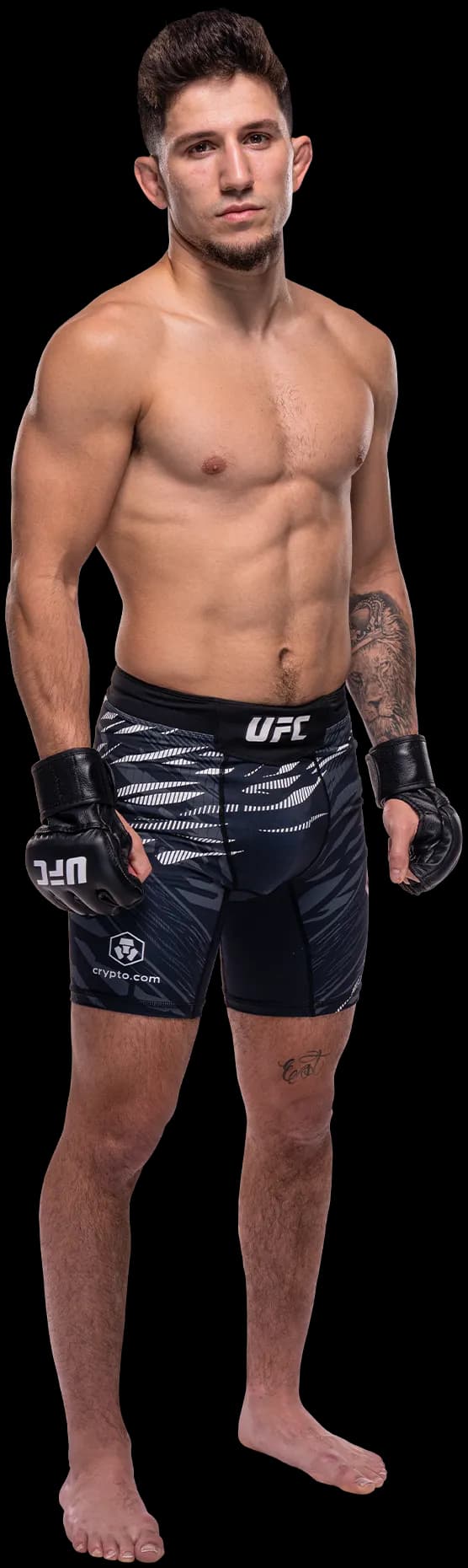 Mitch Raposo