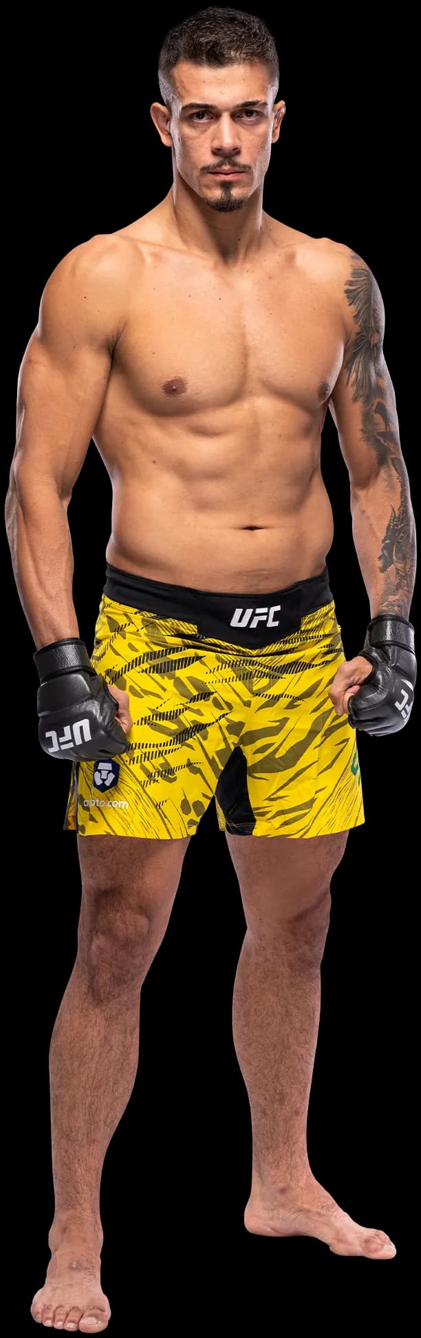 Marco Tulio