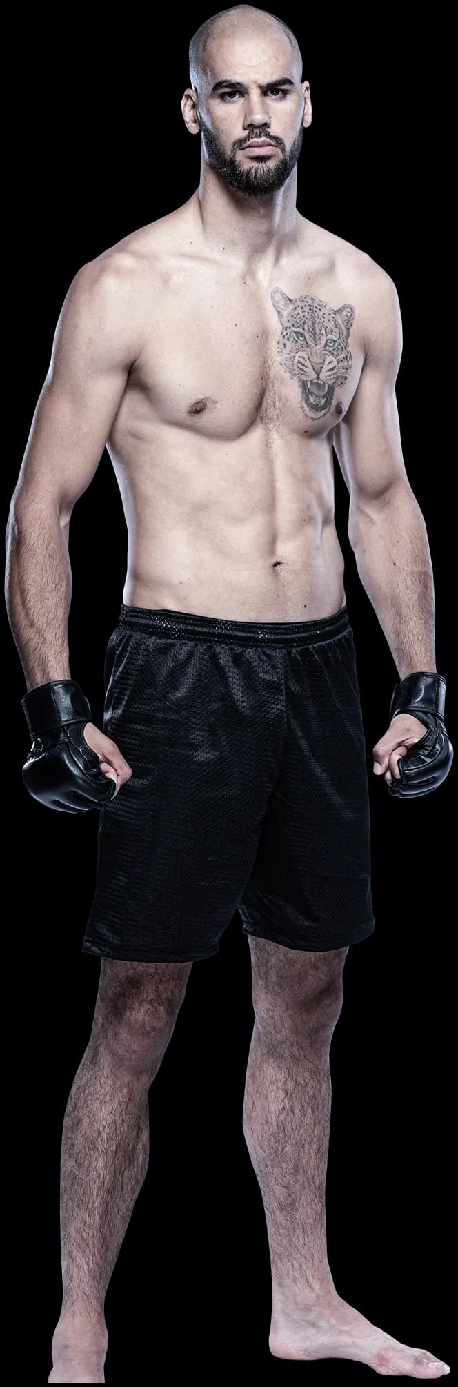 Yousri Belgaroui