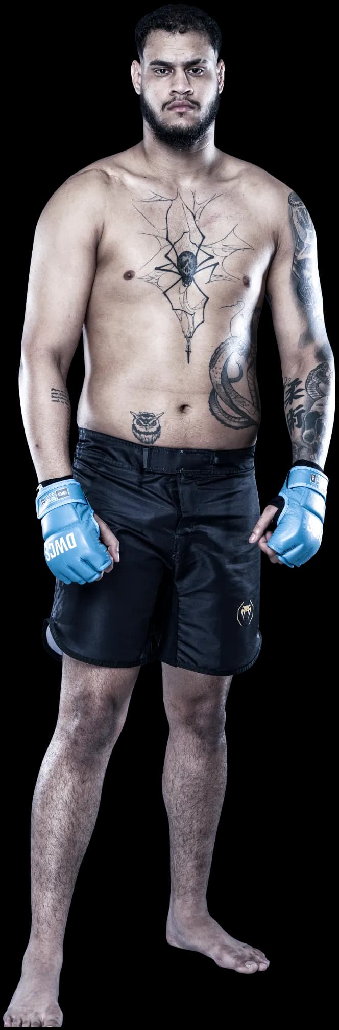 Tallison Teixeira