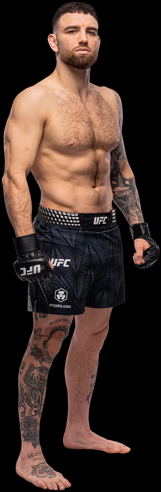 Luke Fernandez