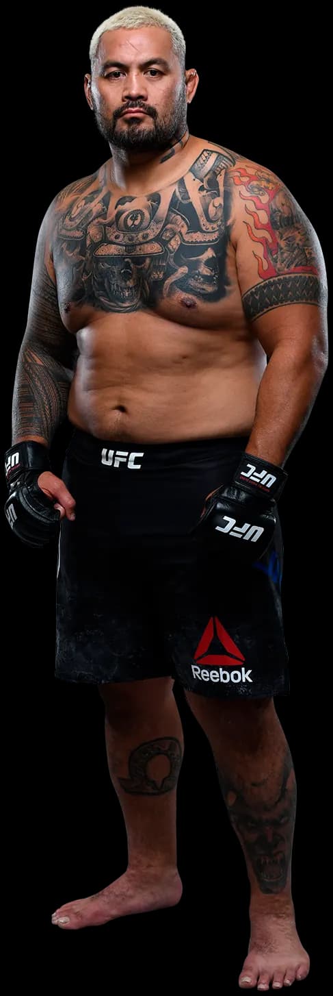 Mark Hunt