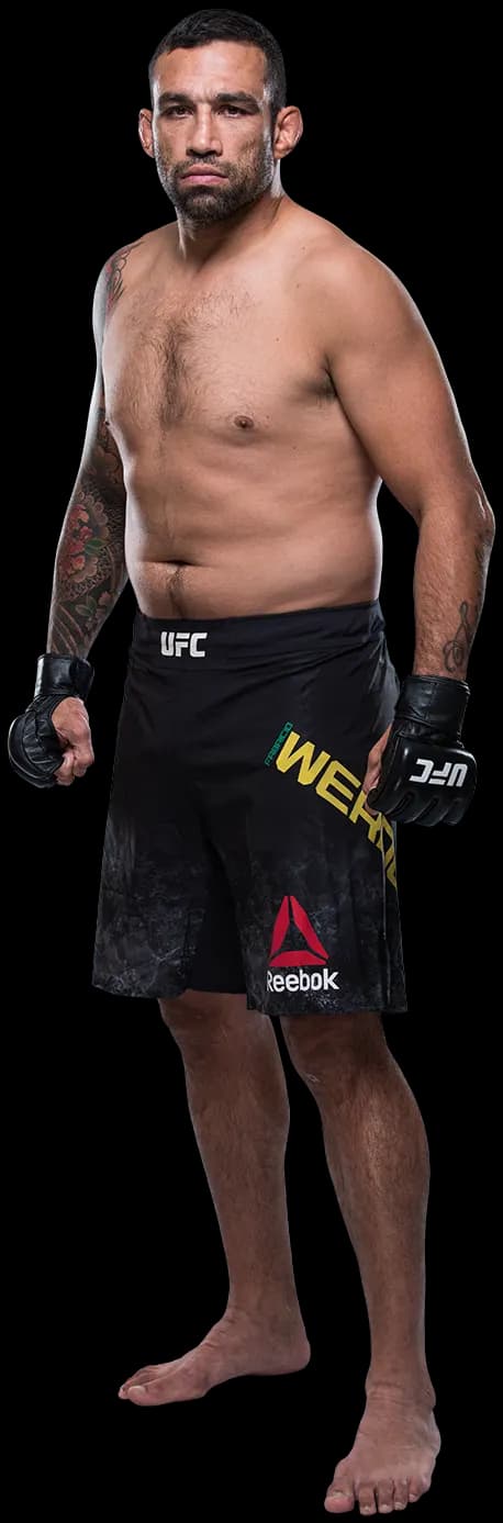 Fabricio Werdum