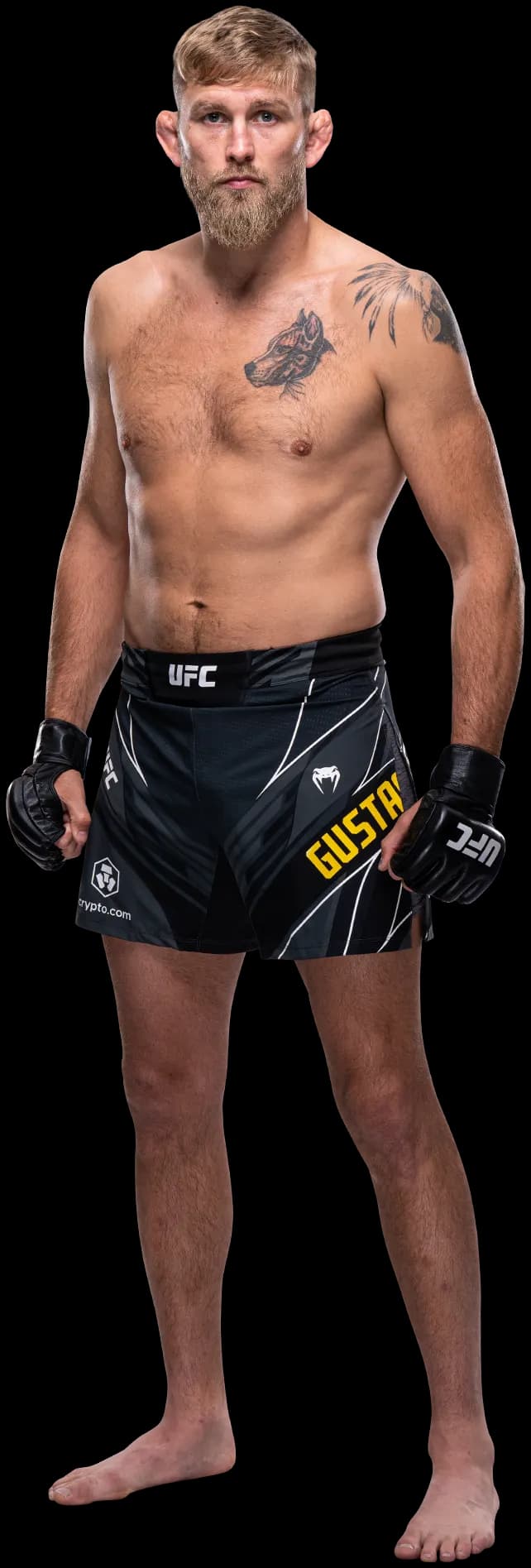 Alexander Gustafsson