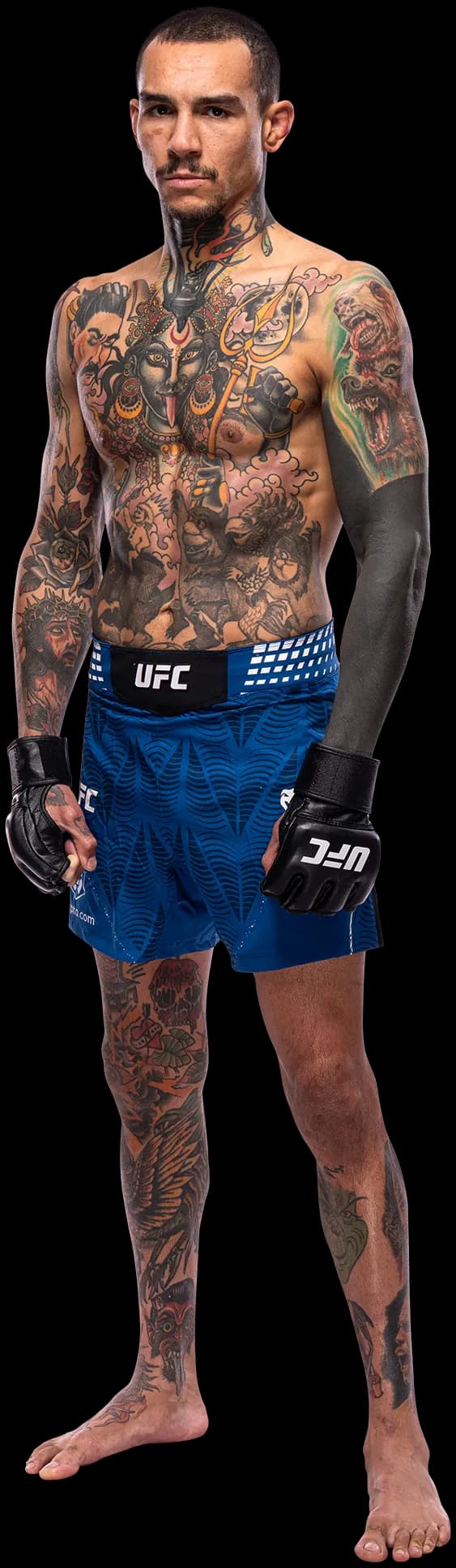 Andre Fili