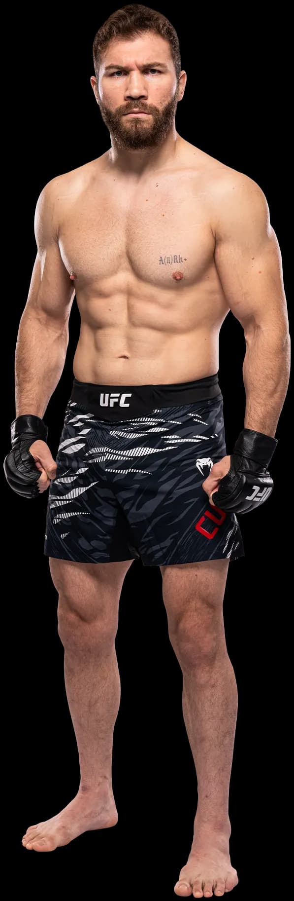 Ion Cutelaba