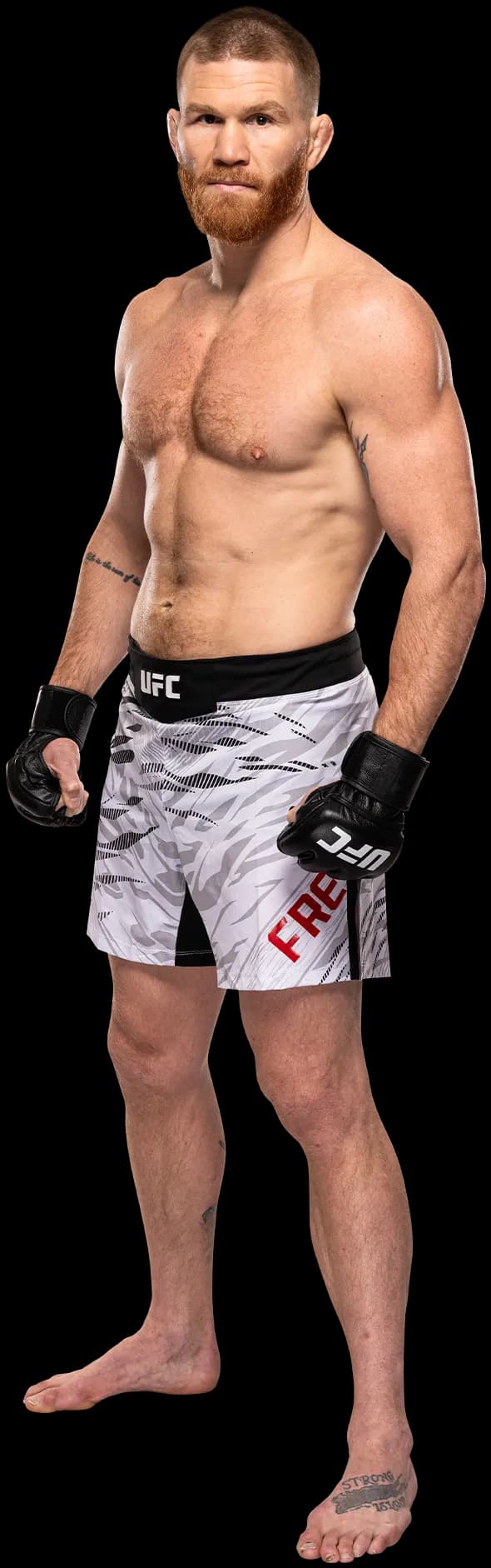 Matt Frevola