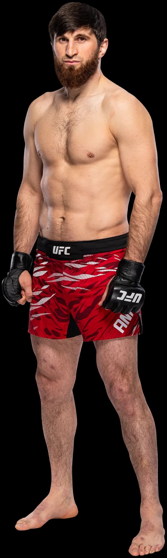 Magomed Ankalaev
