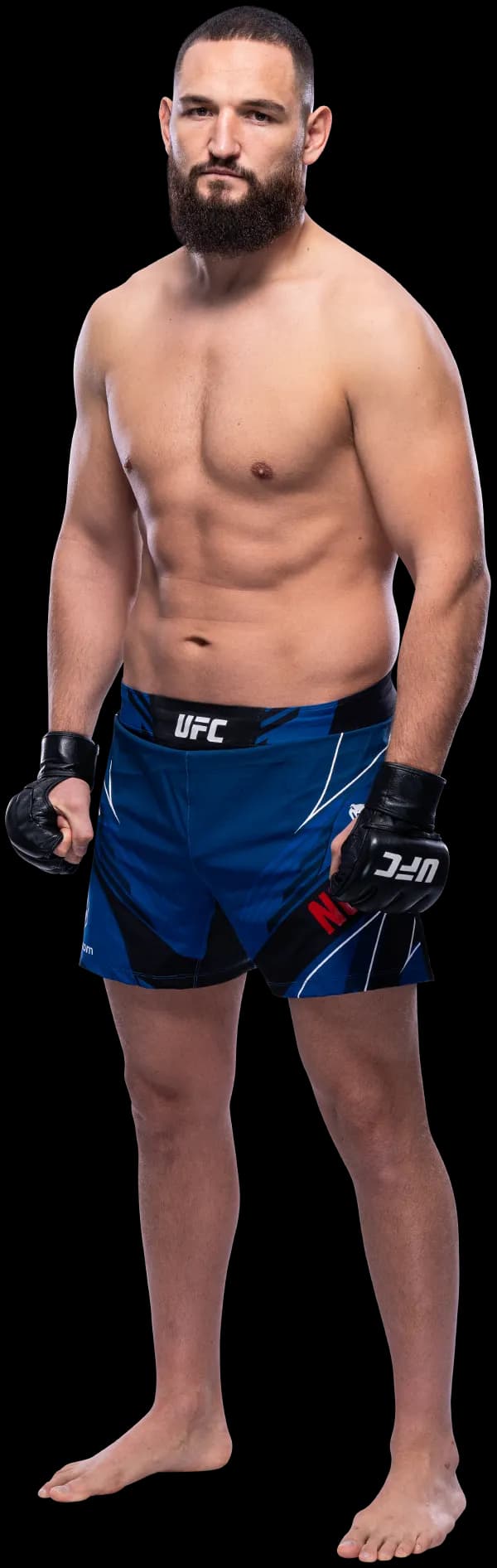 Nicolae Negumereanu