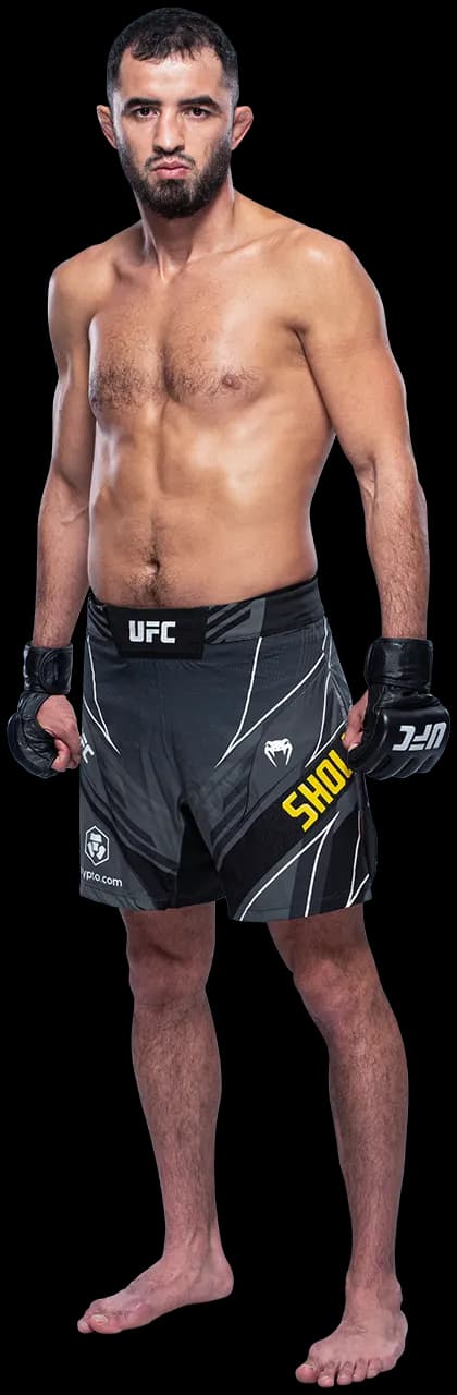 Liudvik Sholinian