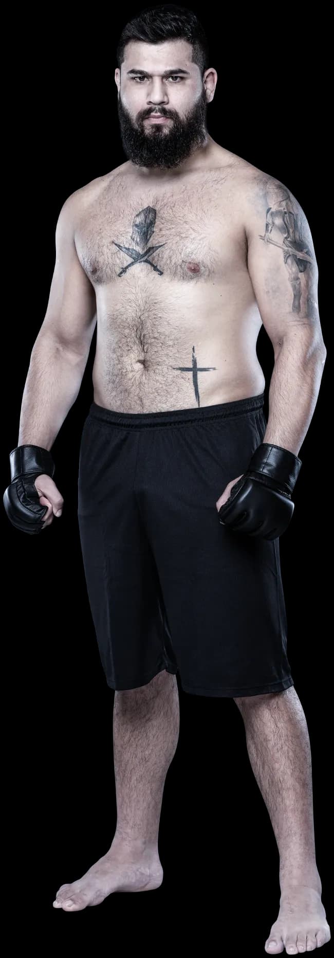 Paulo Renato Jr.