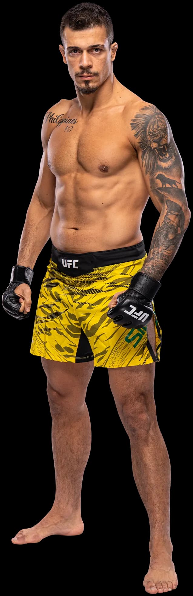 Marco Tulio