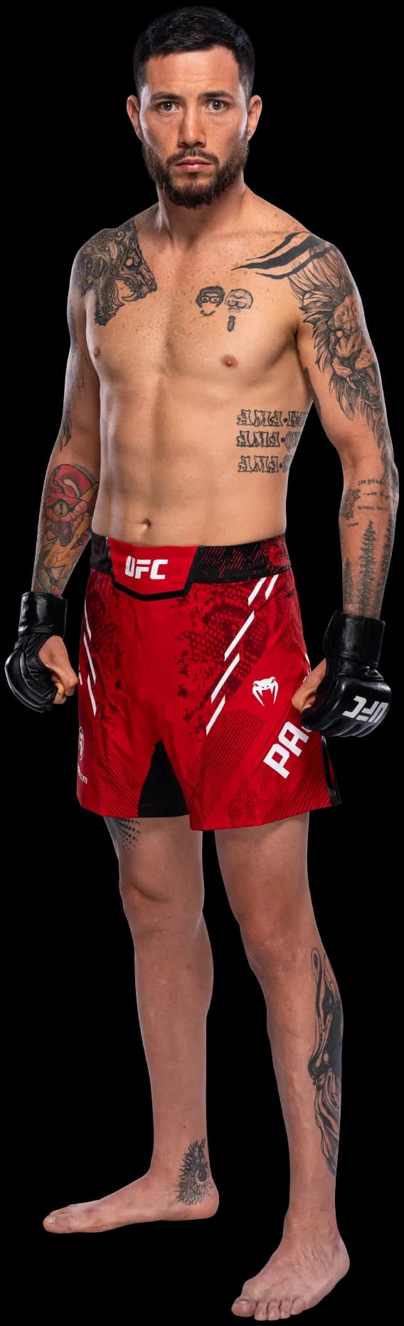 Luis Pajuelo