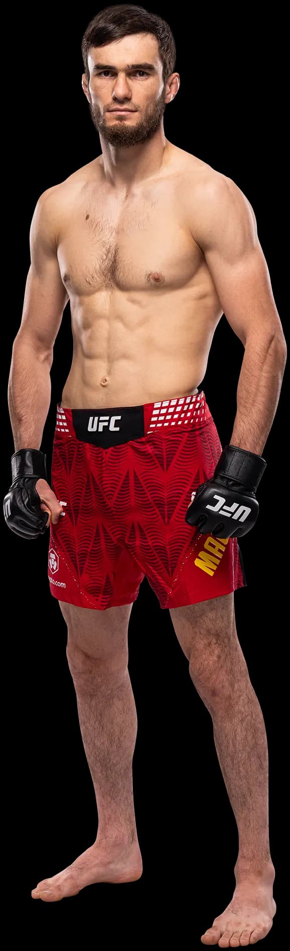 Murtazali Magomedov